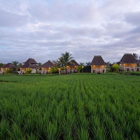 Uma Sebatu Villa Tegallalang  Luaran gambar