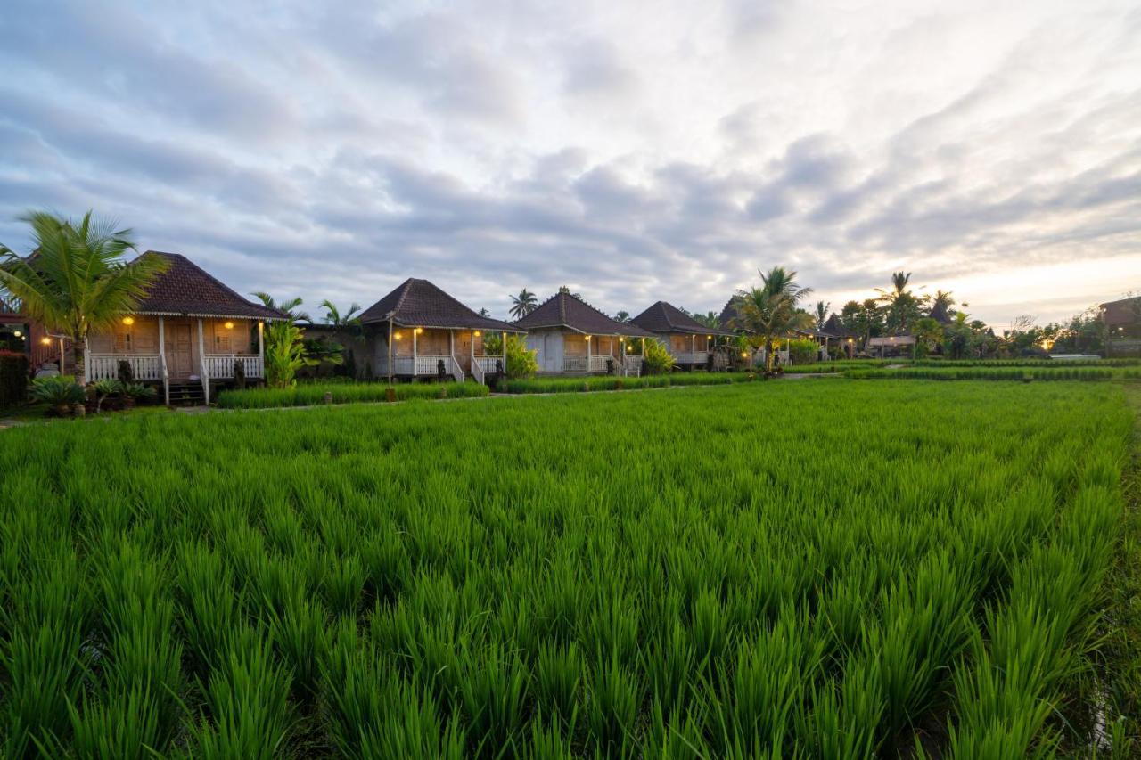Uma Sebatu Villa Tegallalang  Luaran gambar