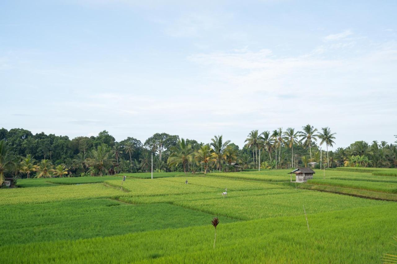 Uma Sebatu Villa Tegallalang  Luaran gambar