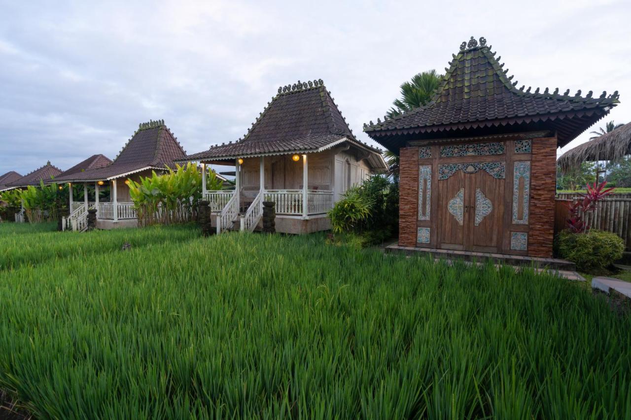 Uma Sebatu Villa Tegallalang  Luaran gambar